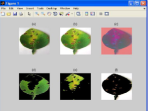 Image Processing Using AI - Artificial Intelligence Interview Questions - Edureka