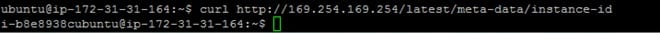 Instance-ID