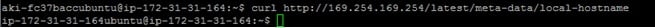 Local Hostname 