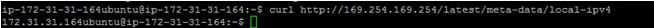 Local Hostname 