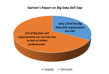 Big Data Skill Gap