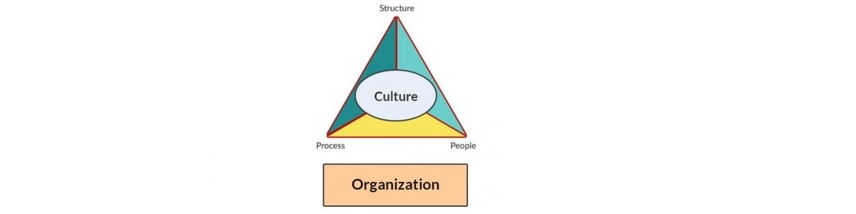 Structure - Organization Structure - Edureka 