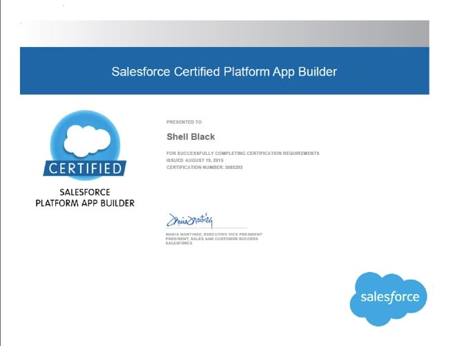 Salesforce platform app builder