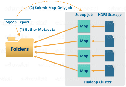 Apache Sqoop Export - Hadoop Ecosystem - Edureka