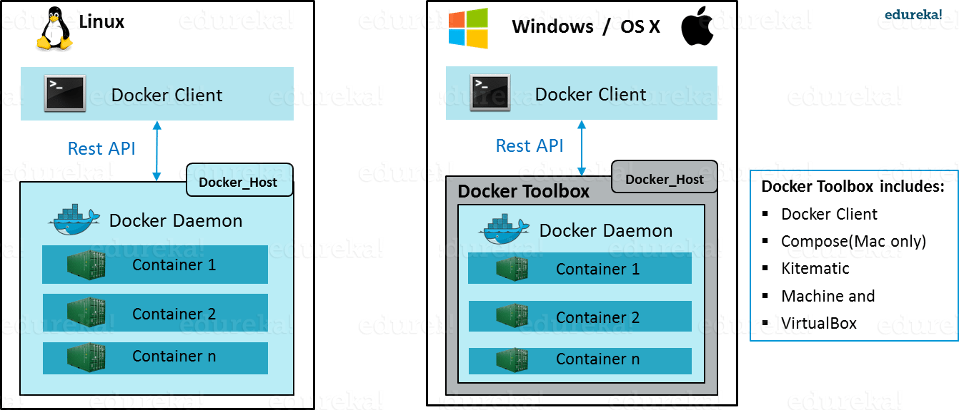 Docker Client - What Is Docker Container - Edureka