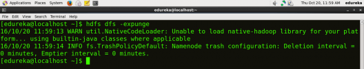 Make Trash Empty - HDFS Commands - Edureka