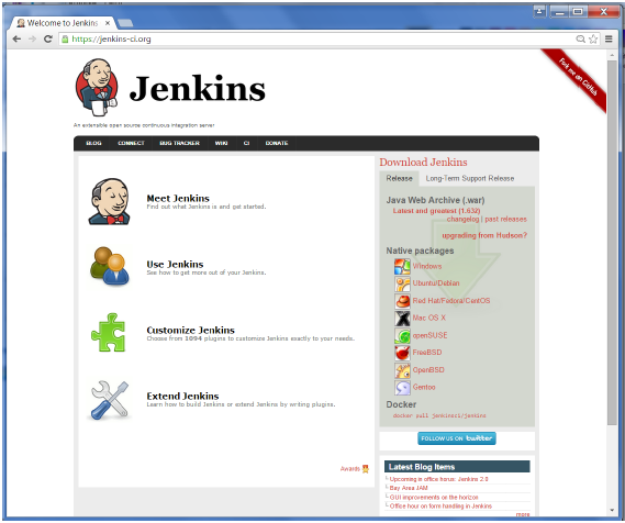 jenkins installation