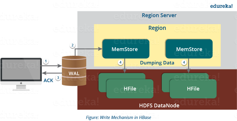 HBase Write Mechanism - HBase Architecture - Edureka