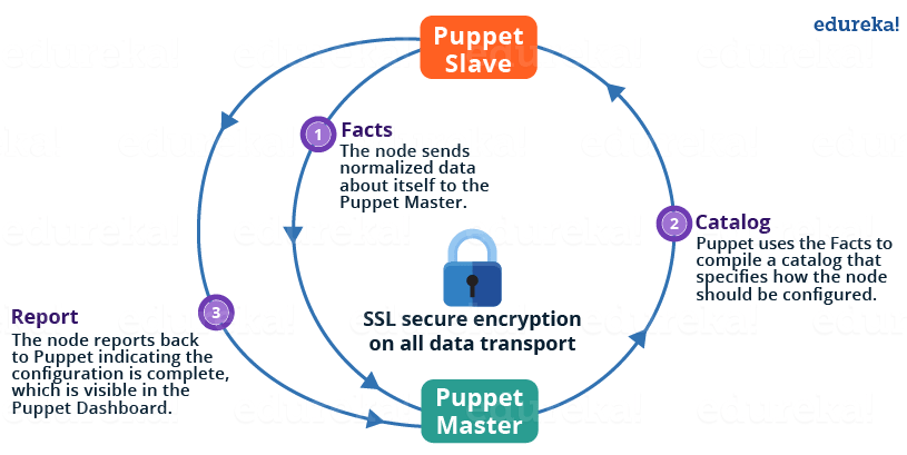 Puppet Master Slave Architecture - Puppet Tutorial - Edureka