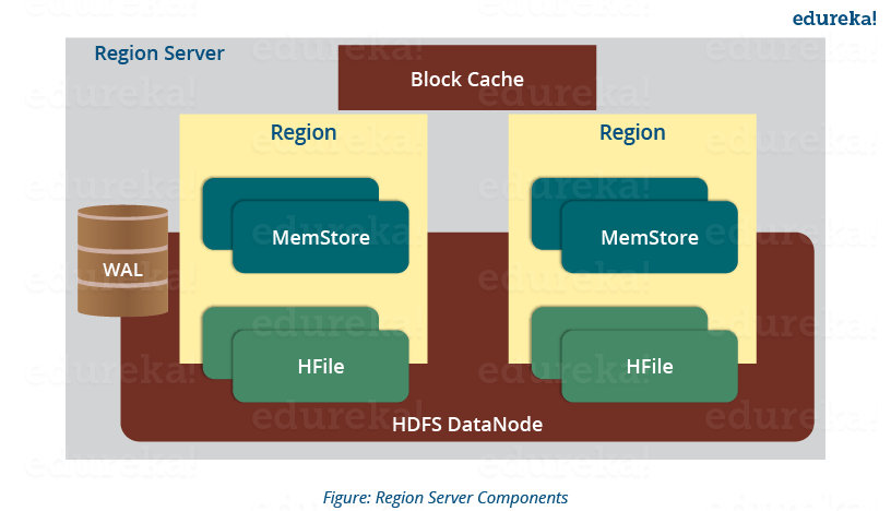 Region Server Components - HBase Architecture - Edureka