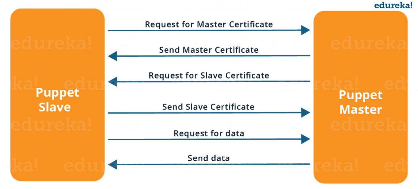  SSL Connection Between Puppet Master and Puppet Slave - What is Puppet - Edureka