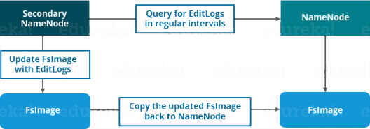 Secondary NameNode Function - Apache Hadoop HDFS Architecture - Edureka