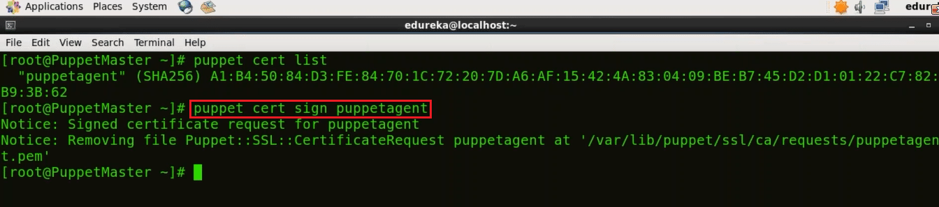 Sign Puppet Agent Certificate - Install Puppet - Edureka