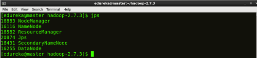 jps - Hadoop Multi Node Cluster - Edureka