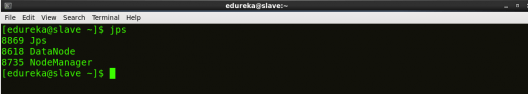 jps slave - Hadoop Multi Node Cluster - Edureka
