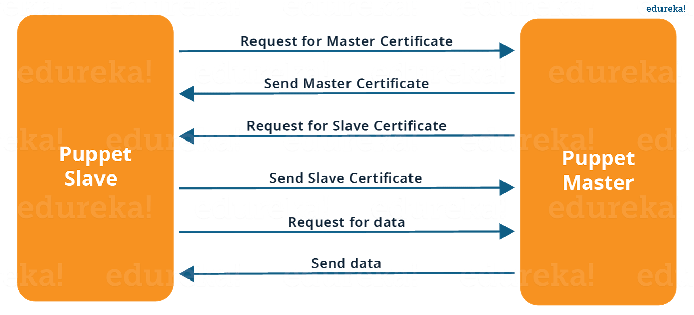 Puppet Master Slave Connection - Puppet Interview Questions - Edureka