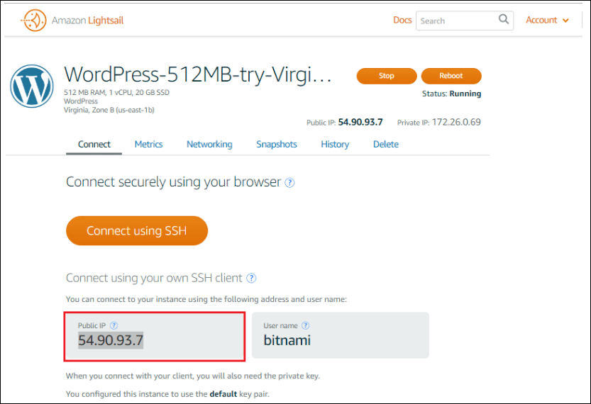 Copy Ip Address In Lightsail - Amazon Lightsail Tutorial - Edureka