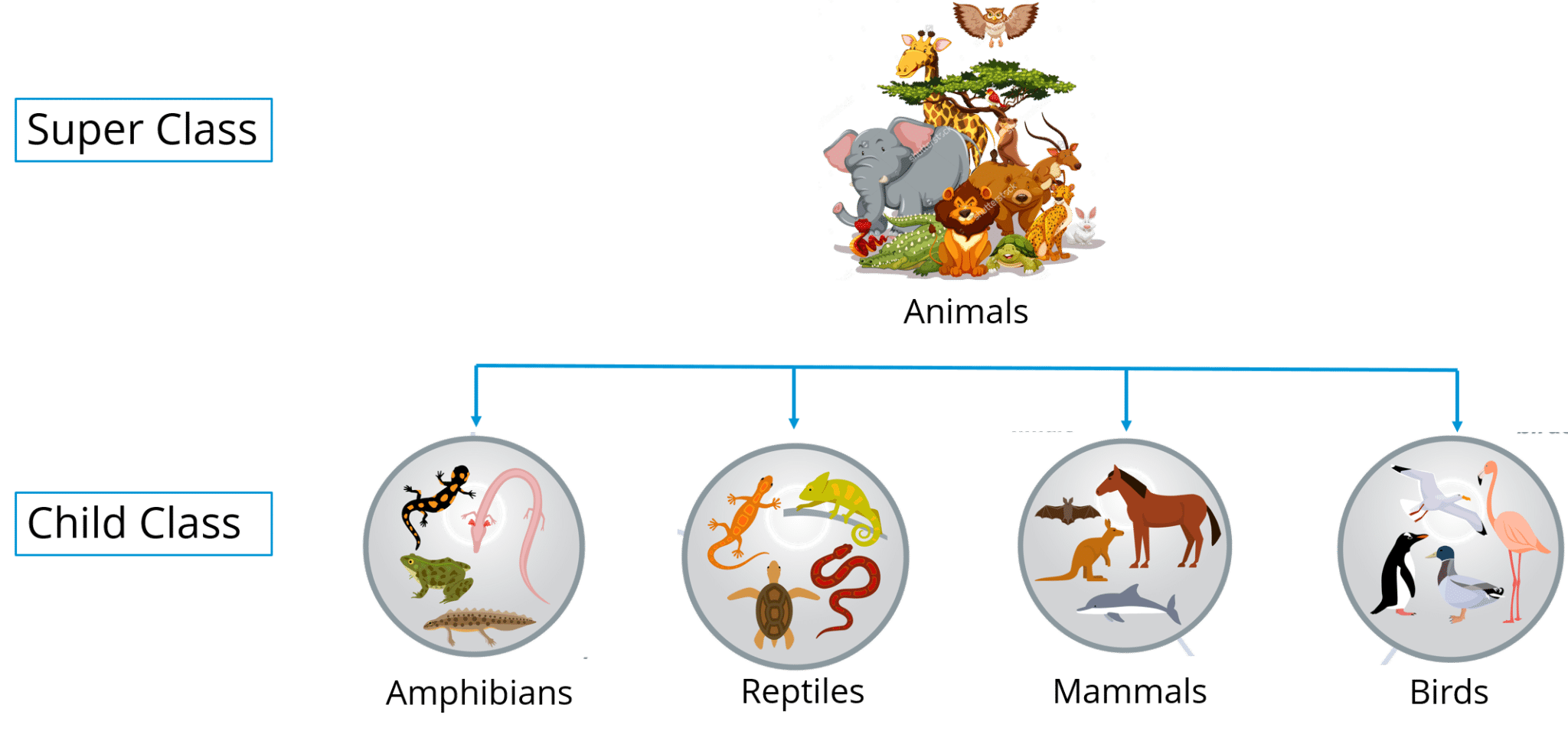 Inheritance - Java Tutorial - Edureka