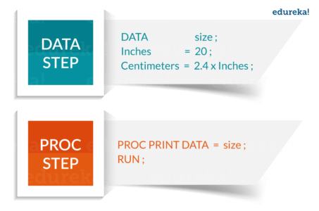 Data-Proc_snippet - SAS Tutorial - Edureka