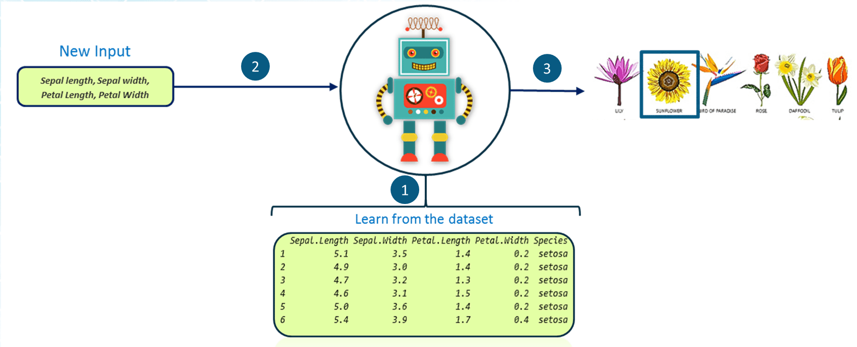 A Machine Learning Tutorial with Examples