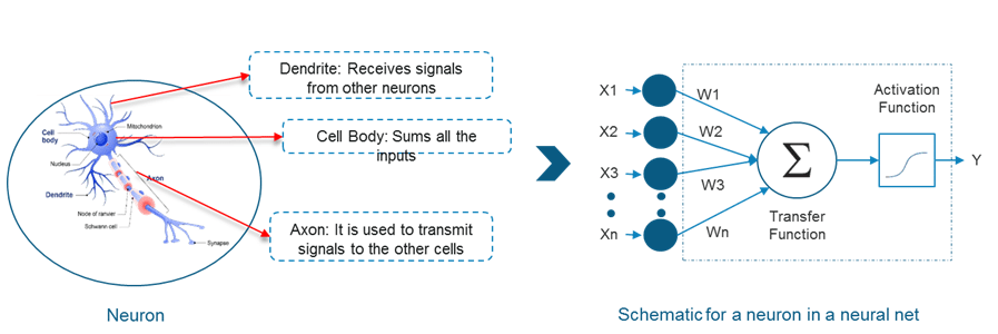 Perceptron & Neuron - Deep Learning Tutorial - Edureka