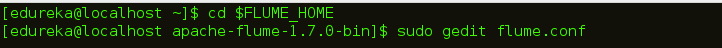 Creating Flume Configuration File - Apache Flume Tutorial - Edureka
