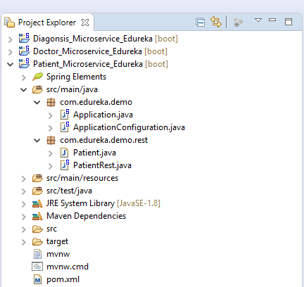 Patient_Microservice_Files Of Demo - Microservices Tutorial - Edureka