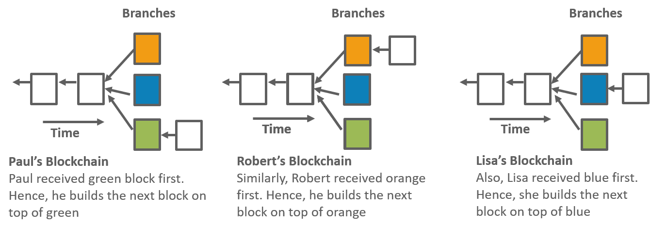 Several branch-how blockchain works-edureka