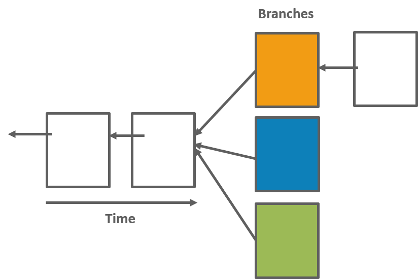 Several branches-how blockchain works-edureka