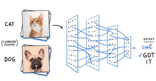 cat vs dog - analogy - AI vs Machine Learning vs Deep Learning