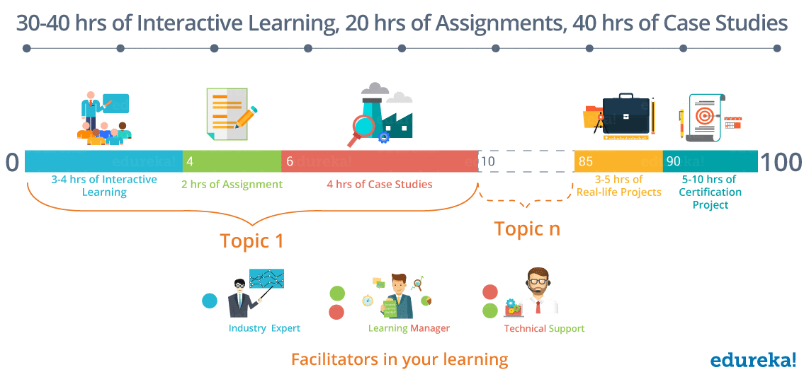 Edureka structured path - why first 100 hours of learning is crucial - Edureka