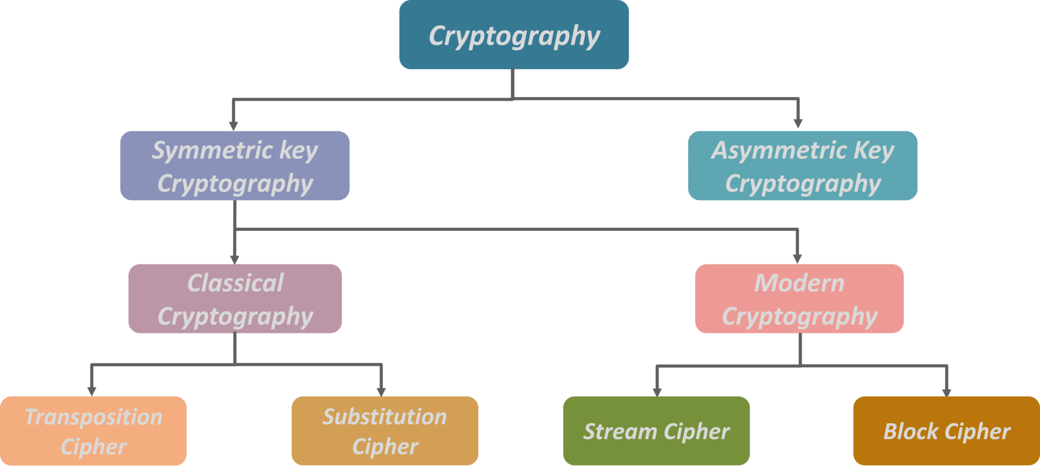 explain case study in cryptography and security