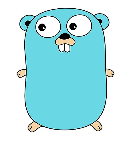 Golang image