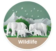 Artificial-Intelligence-For-Wildlife-Poaching-Prevention