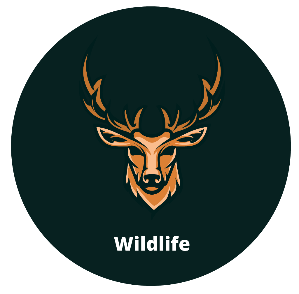 Artificial Intelligence For Wildlife Preservation - What Is Artificial Intelligence - Edureka