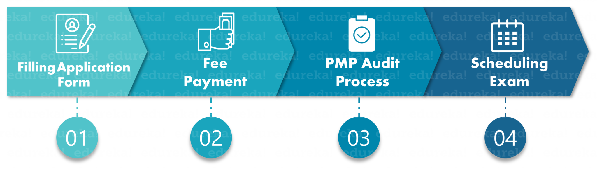 Application Procedure - PMP Exam - Edureka