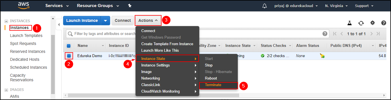 Delete Instance -How To Restore EC2 From Snapshot-Edureka