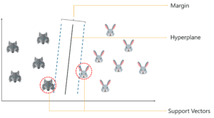 How does SVM work3 - Support Vector Machine In R - Edureka