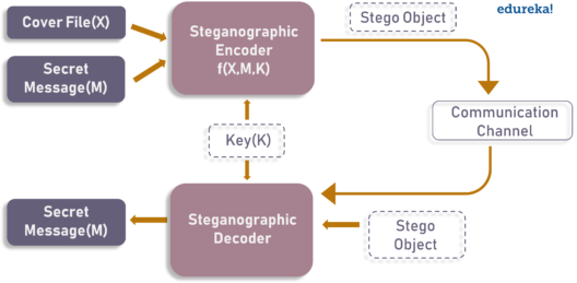 SteganogarphyModel - Steganography Tutorial - Edureka