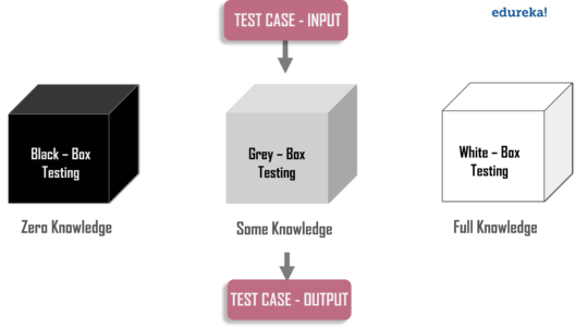 Types - What is Penetration Testing - Edureka