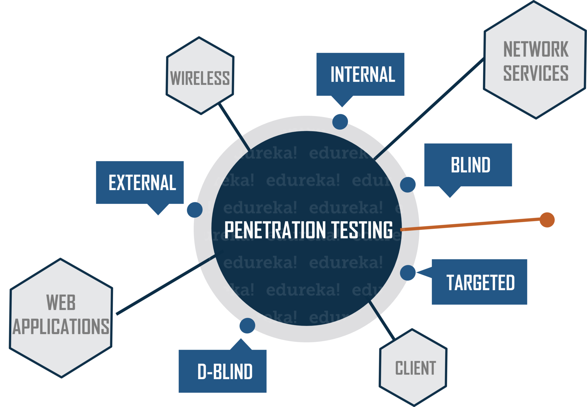 Types - What is Penetration Testing - Edureka