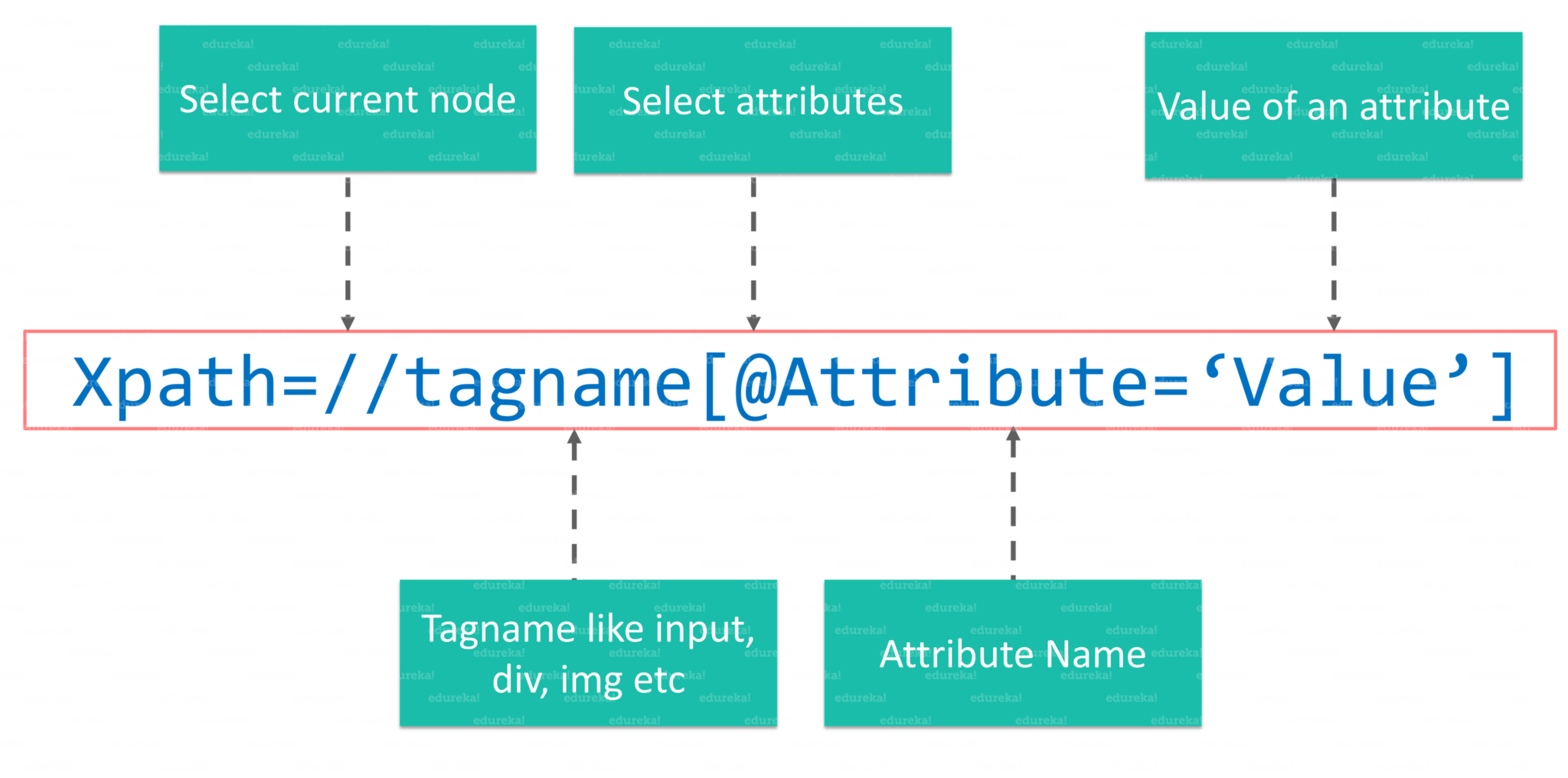 Xpath Syntax-Edureka