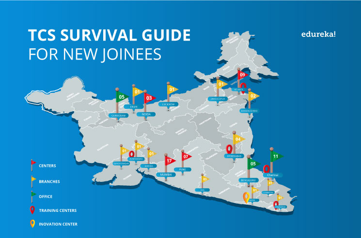 A Survival Guide to working at Tata Consultancy Services_1