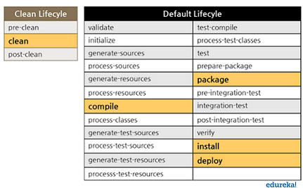 lifecycle