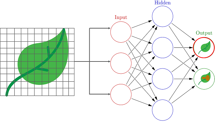 Neural Network Example - What Is A Neural Network - Edureka