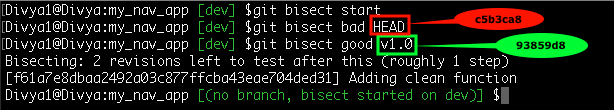 Start Bisection - Git Bisect - Edureka