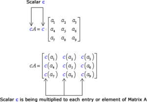 scalar