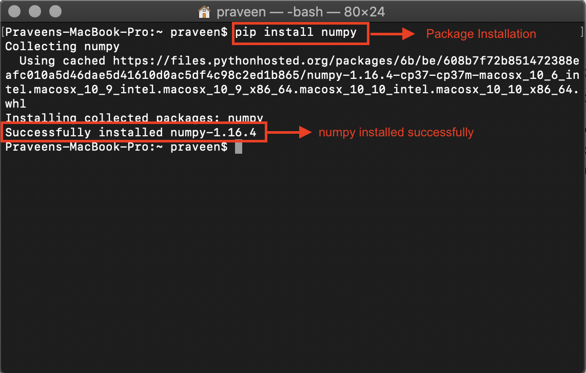 Output- Numpy installation - Edureka