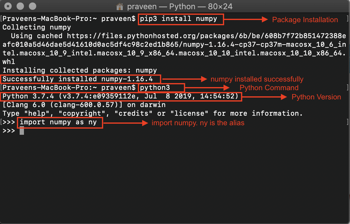 Output- Numpy installation - Edureka