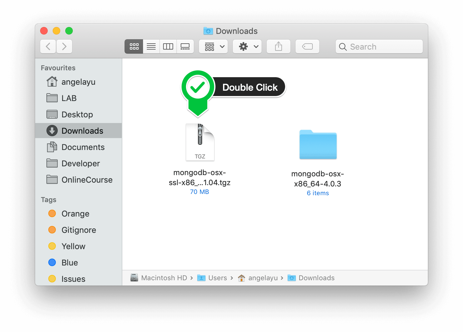 Output - Install MongoDB On Windows - Edureka